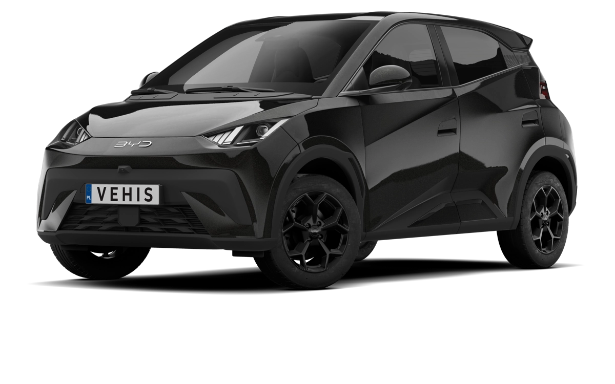 BYD Dolphin Surf, kolor Czarny
